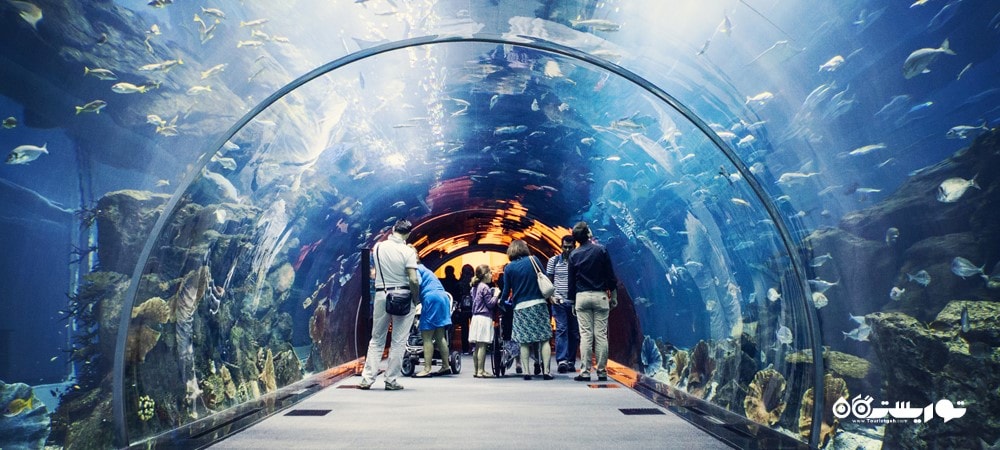 کشور امارات متحده عربی در قاره آسیا - توریستگاه